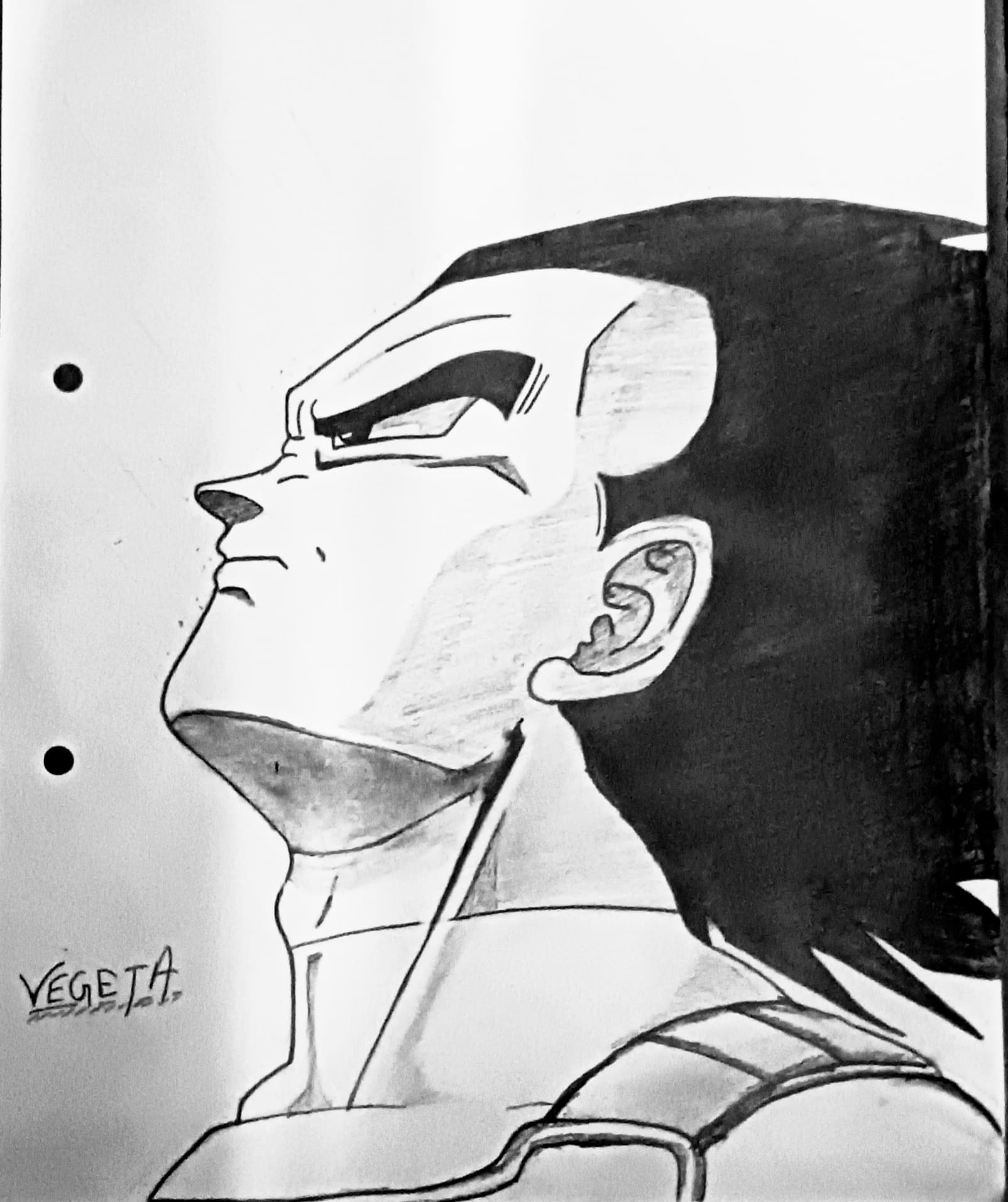 Vegeta angry face pencil sketch from Dragon Ball showing Saiyan armor, intense eyes and detailed neck muscles – anime fan art